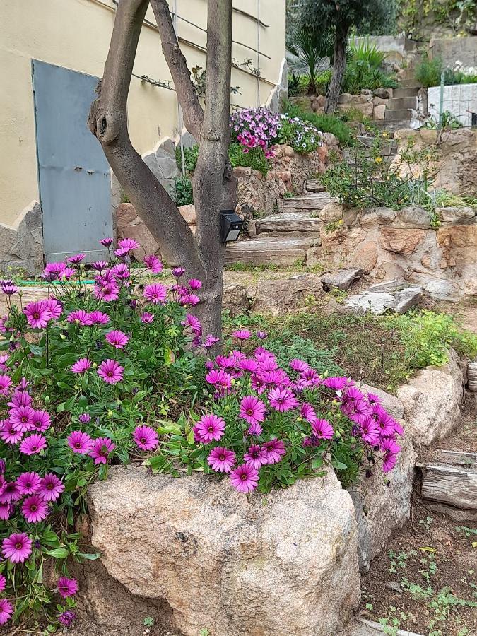 Invit Arti B&B Capoterra Εξωτερικό φωτογραφία