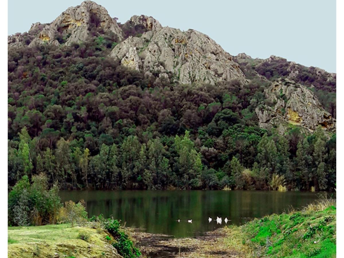 Invit Arti B&B Capoterra Εξωτερικό φωτογραφία